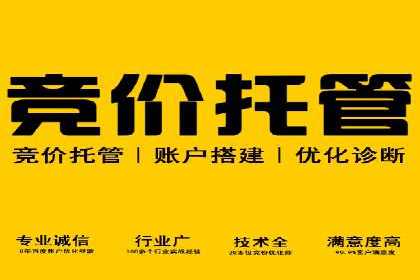 SEM推广策略的五大关键点及成功案例